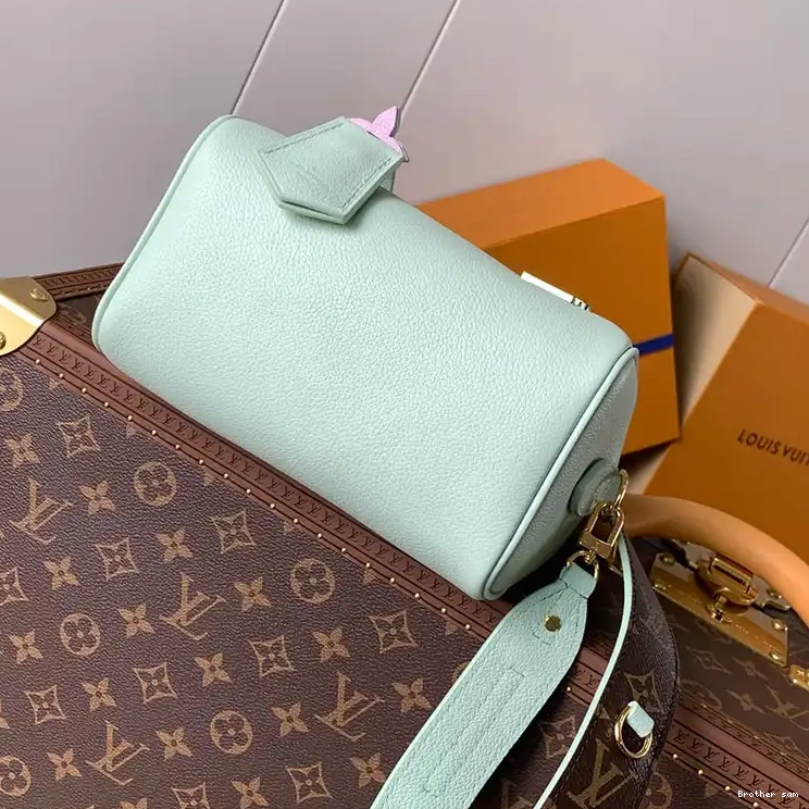 Brother sam LV Bags 2409YA0187 0821